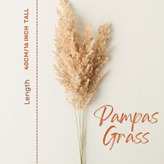  Pampas Grass Natural Decor