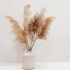  Pampas Grass Natural Decor